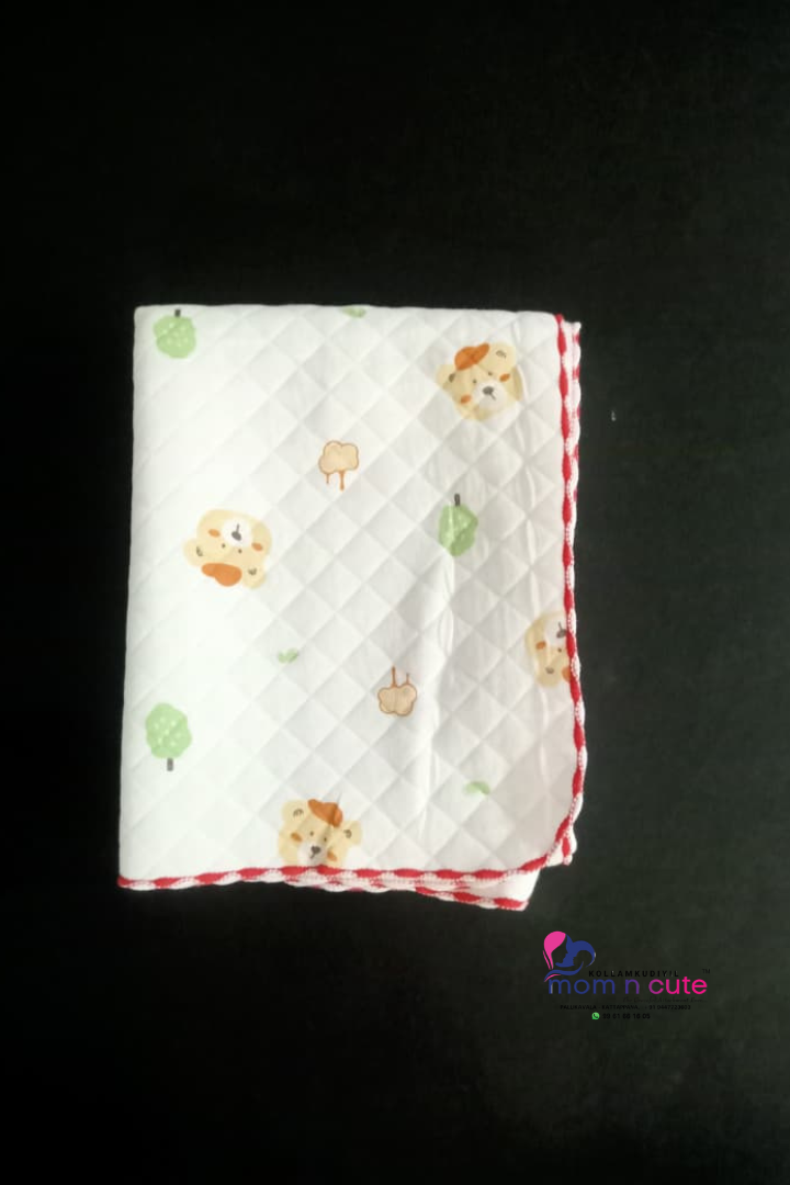 Soft Muslin Blanket
