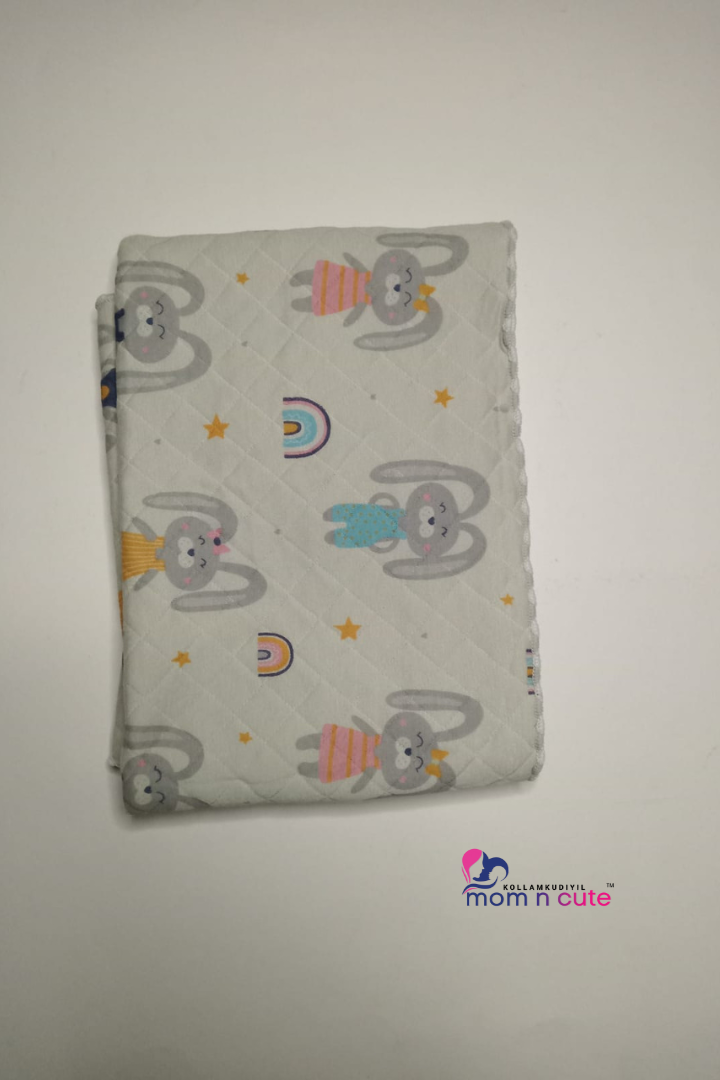 Soft Muslin Blanket color