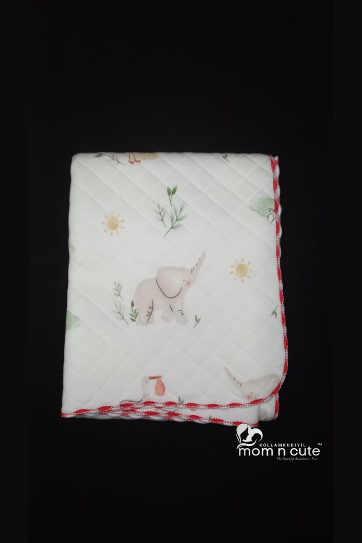 Soft Muslin Blanket